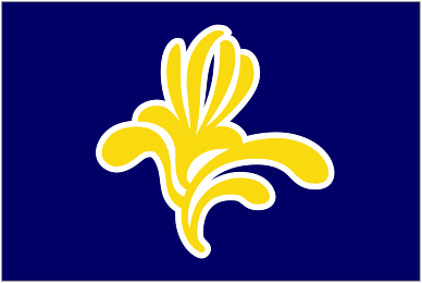 Brussels Region Flag