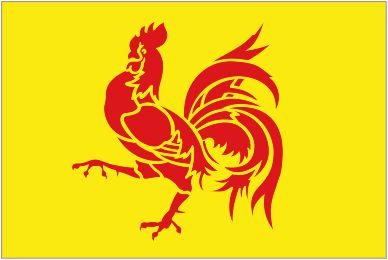 Walloon Region Flag