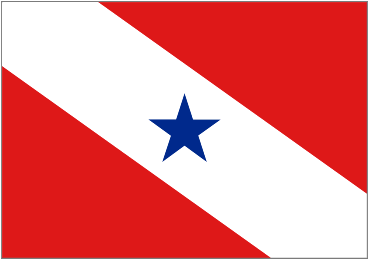 Para Flag