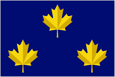 Vice Admiral (alternative) of Canada