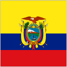 President Flag of Ecuador