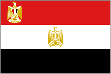 President Flag of Egypt