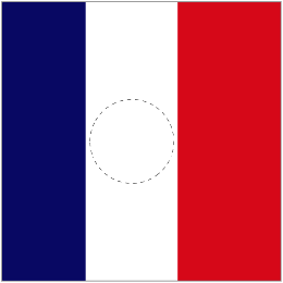 President Flag of France