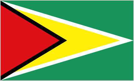 National Flag of Guyana
