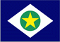 Mato Grosso Flag