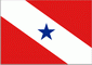 Para Flag