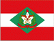 Santa Catarina Flag