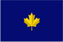 Commodore (alternative) of Canada