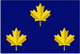 Vice Admiral (alternative) of Canada