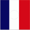President Flag of France
