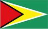 National Flag of Guyana