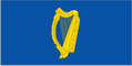 President Flag of Ireland