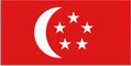 President Flag of Singapore