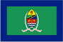 President Flag of Tanzania