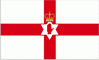 Northern Ireland (unofficial) Flag