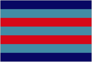 Air Chief Marshal (4 Star)