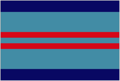 Air Vice Marshal (2 Star)