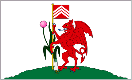 Cardiff Flag