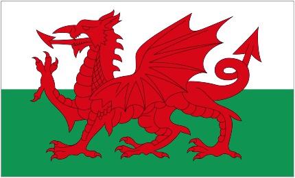 Wales The Red Dragon Flag