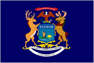 Michigan Flag