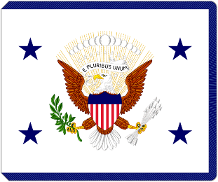 Vice President Flag of United States