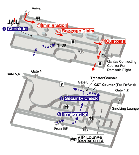 Terminals layout of airlines JAL in Cairns International Airport