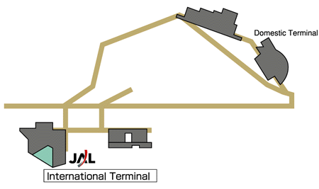 Delhi Indira Gandhi International Airport