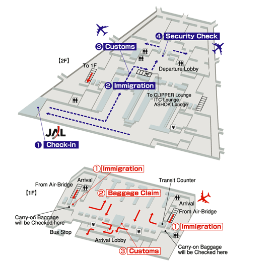 Terminals layout of airlines JAL in Delhi Indira Gandhi International Airport