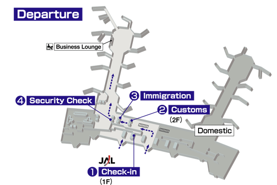 Terminals layout of airlines JAL in Domodedovo International Airport