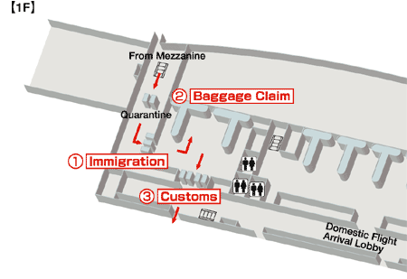 Terminals layout of airlines JAL in Xi