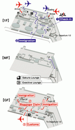 Terminals layout of airlines JAL in Amsterdam Schiphol International Airport
