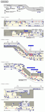 Domestic terminals layout of airlines JAL in Fukuoka Airport